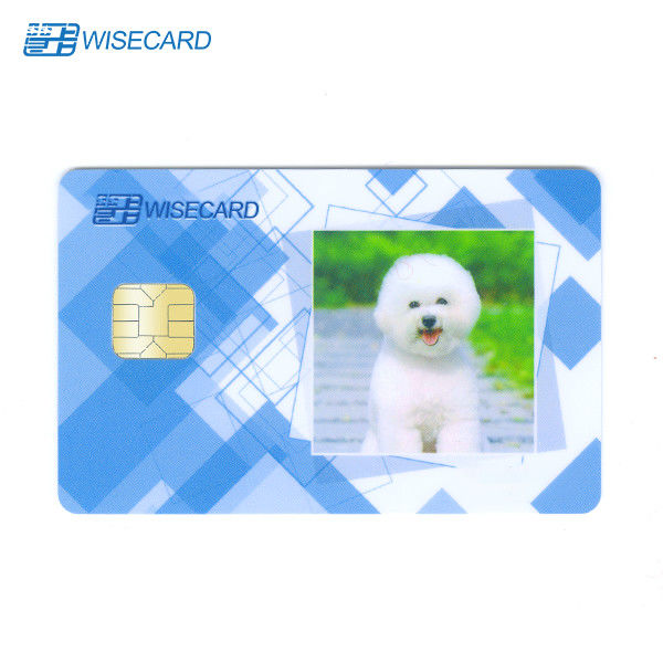 Enterprise PVC Smart Card , Contactless Chip Card With Half Color Photography Process